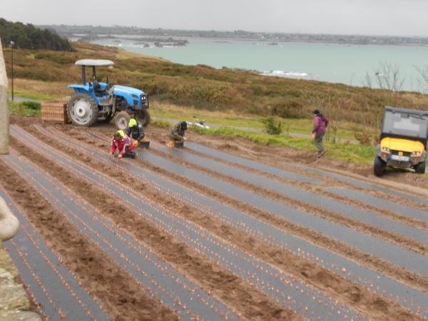 Courageux nos agriculteurs !