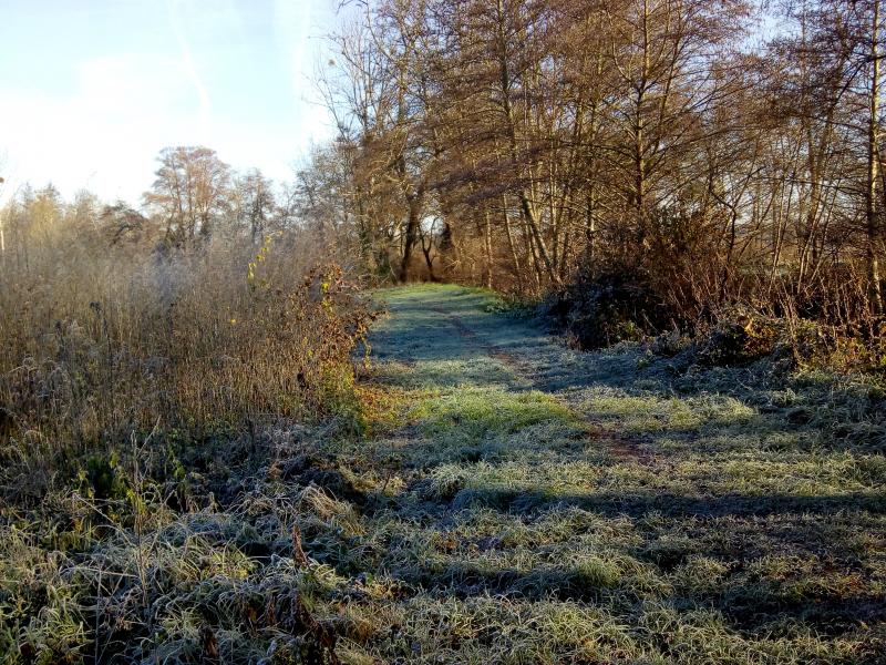 ce matin balade en ce samedi