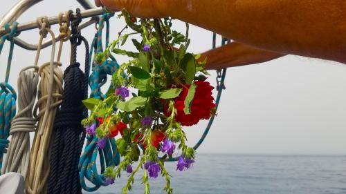 Le balcon posé sur la mer (6) entre Kάραβος et Κέα