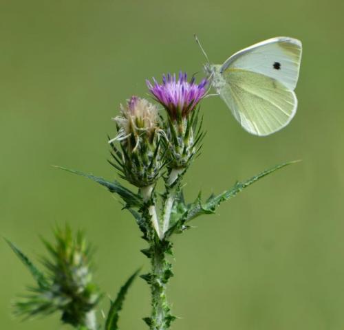 Randonnée "Au fil de l'eau" à NERS