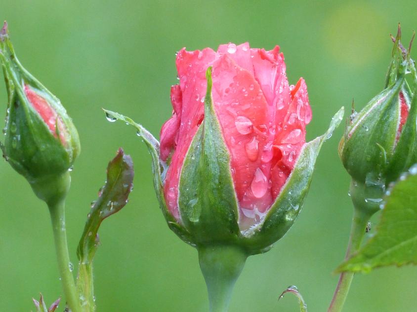 Aimer la pluie c'est pôssible!