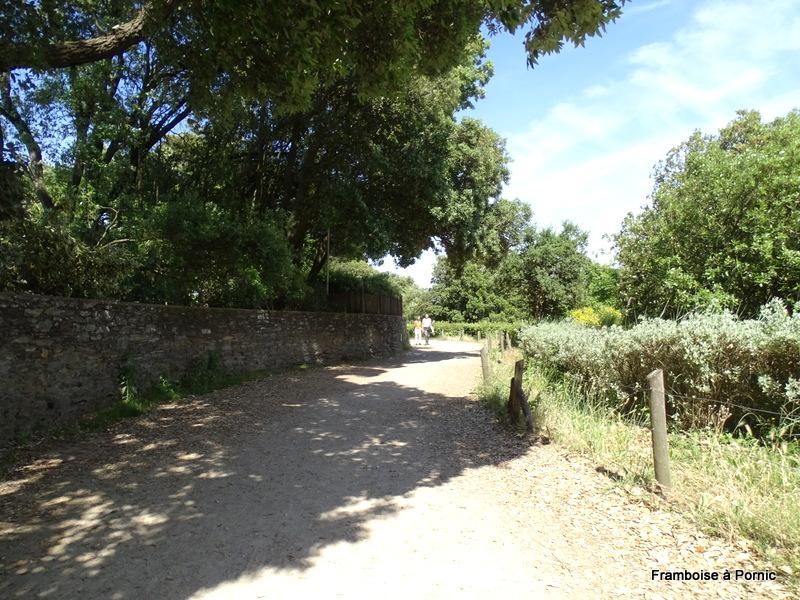 Restaurant Marius Pornic et balade sentier Noéveillard à Pornic 