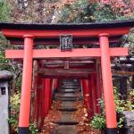 Concerts > Sendai (2014-11-28)