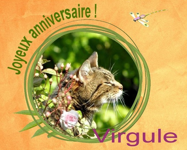 Anniversaire-Virgule-01.jpg