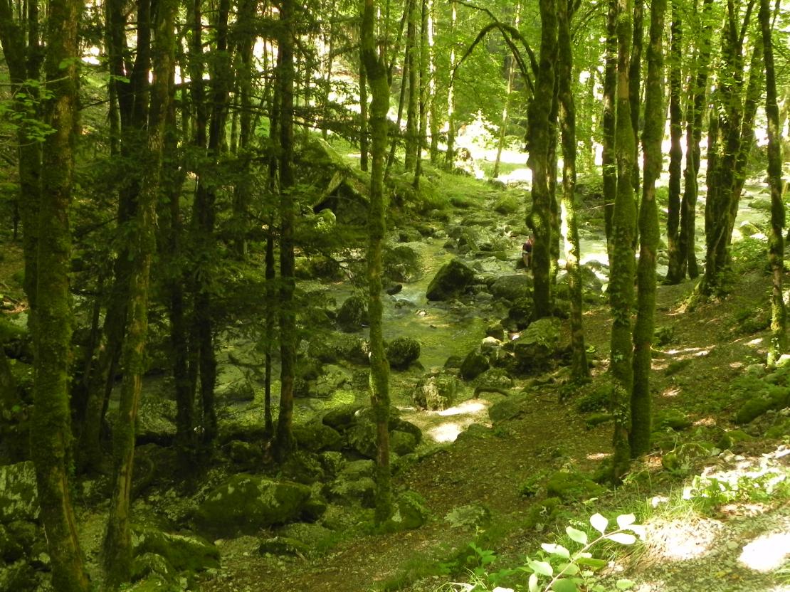 L'Eventail de la cascade du Hérisson