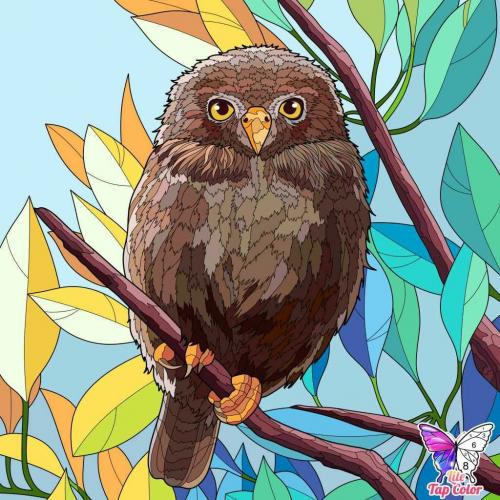 Cécile et ses coloriages numériques