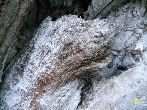 La page d'Annie Claire 