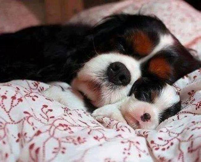 Moments de tendresse ... !!!