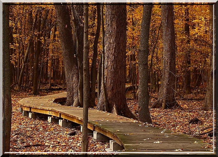 "Chant d'Automne" poème de Charles Baudelaire