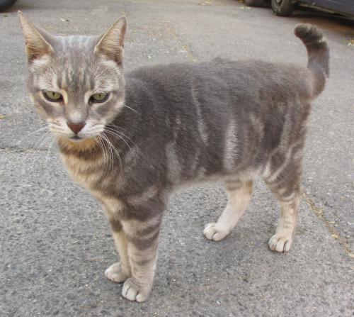 Balade dans le quartier du Panier à Marseille