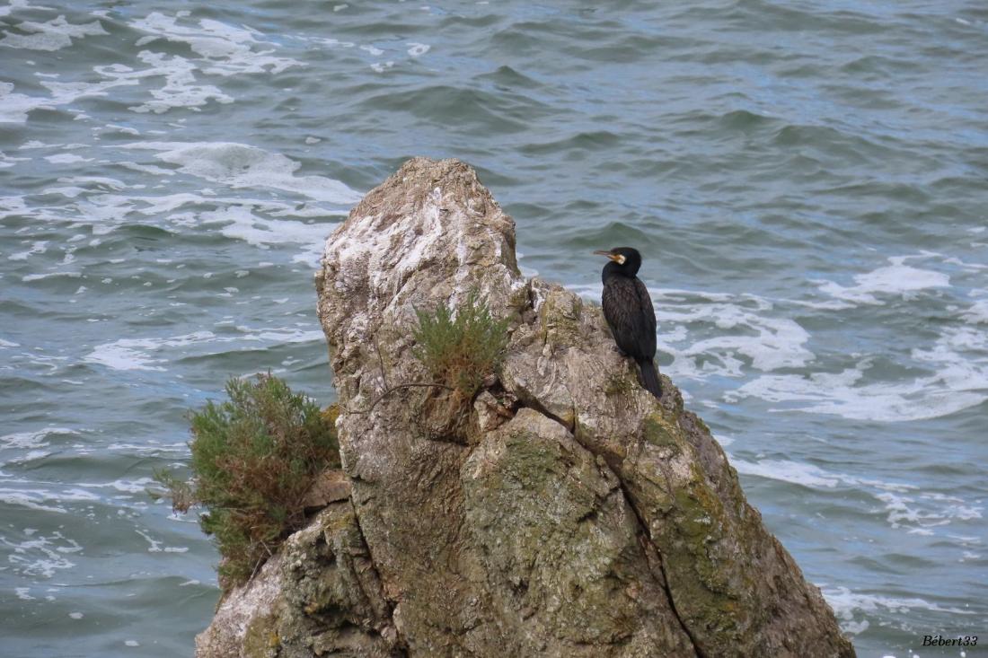 Saint Marc sur Mer 