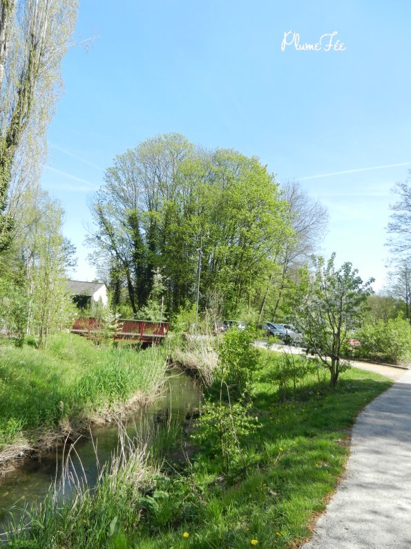 Image008.jpg