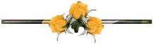 roses de juin 