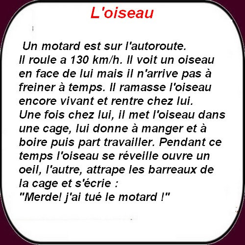 On ne rate pas l'humour du mercredi chez les "Tiot".