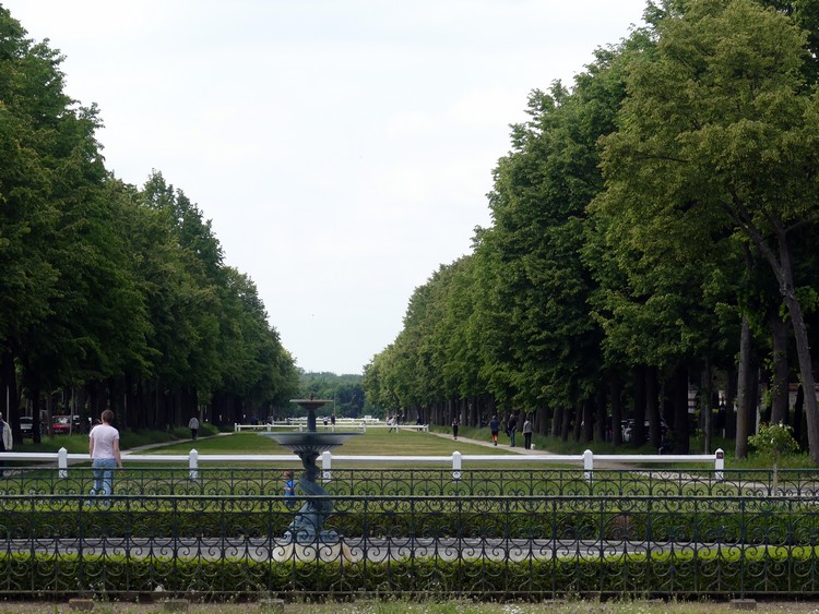 Avenue Albine