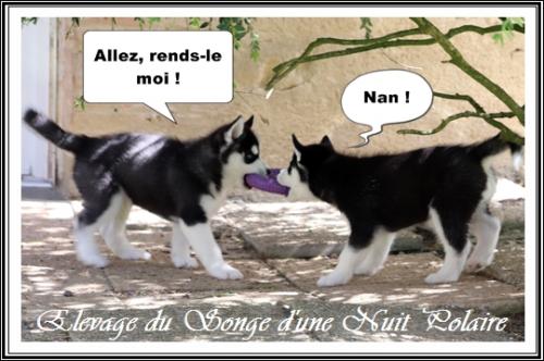 Portée d'Ourika (11 avril 2021)