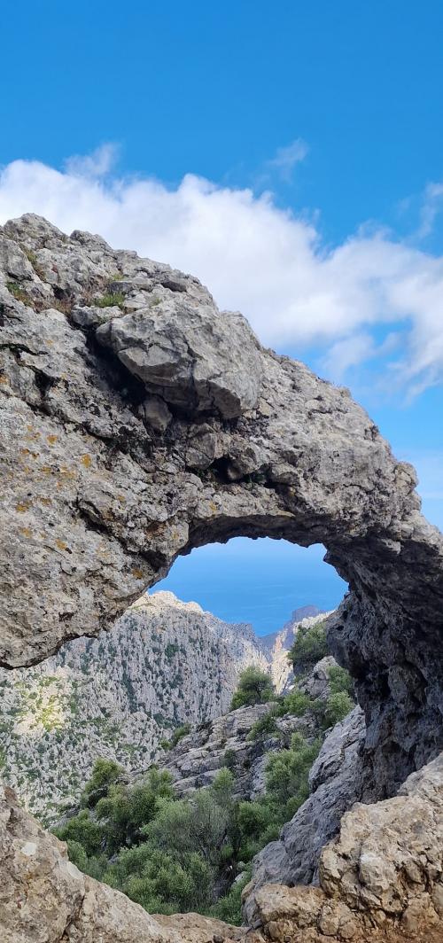 un petit tour sur l'ile magique et des nouvelles de maman