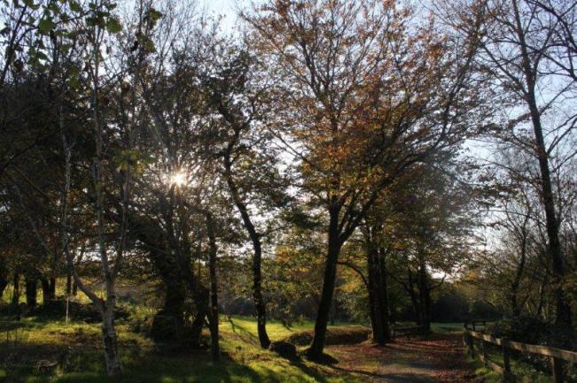 jardin à St Urbain 040