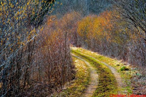 -La rencontre des Châtillon de France et d'ailleurs