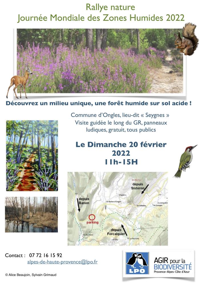 *[elzeard] Bulldozers sur la voie romaine à Ongles et journée à Seygnes (forêt de Ongles) avec la LPO, ce dimanche
