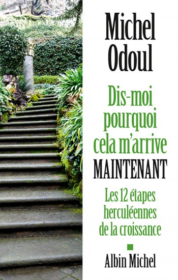 Dis-moi pourquoi cela m’arrive maintenant - Michel Odoul