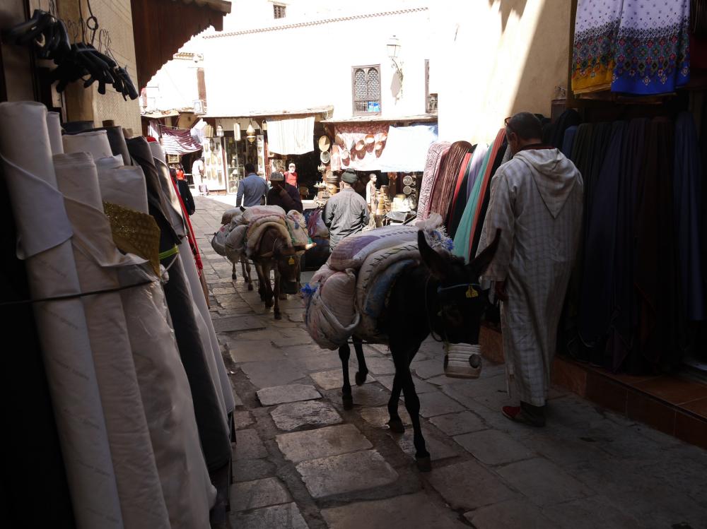Fès