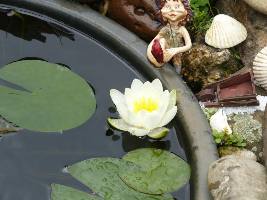 Entre le soleil et la lune mon coeur balance...