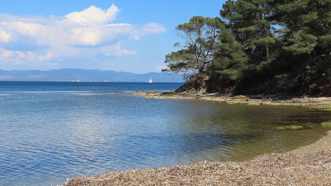 la presqu'île de Giens - 9