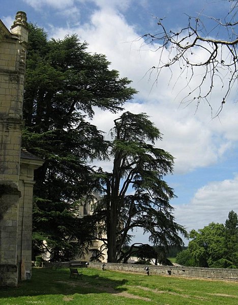 Chateau-d-USSE---Collegiale-et-jardins 0897