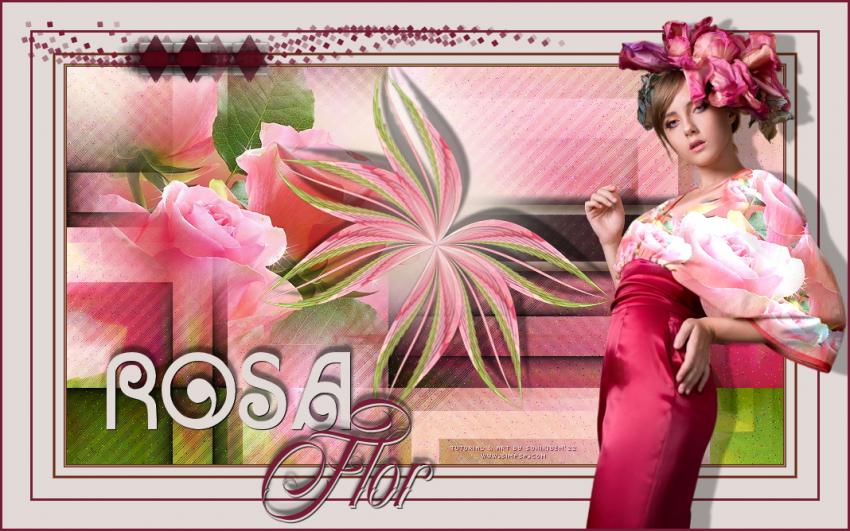 Rosa Flor