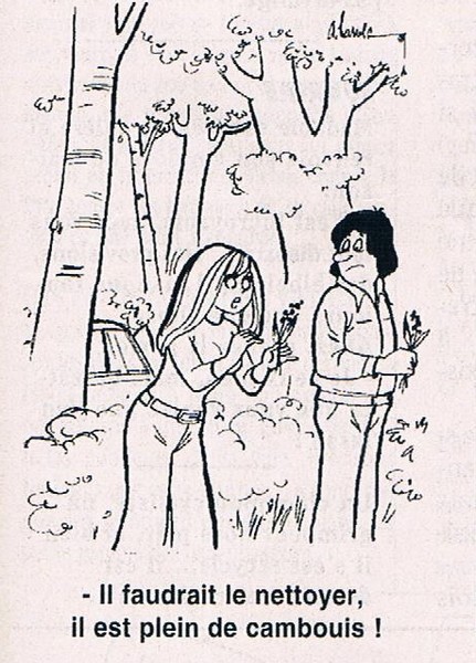 Fleur du bonheur ...