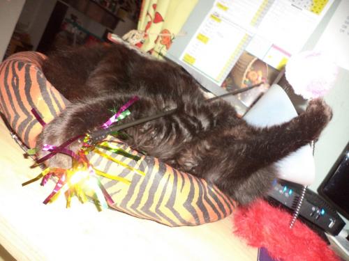 Rhaaaa! Je suis fatiguée!