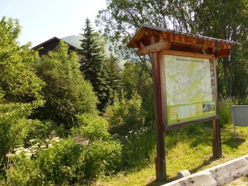 Le long de la Rouanne (Ancelle - Champsaur)