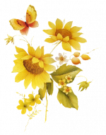 Beauté du "tournesol" ... 