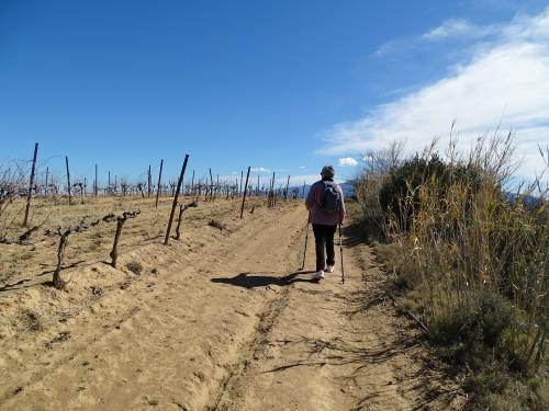 Le Circuit "Les mots du vignoble" au départ de Fourques.