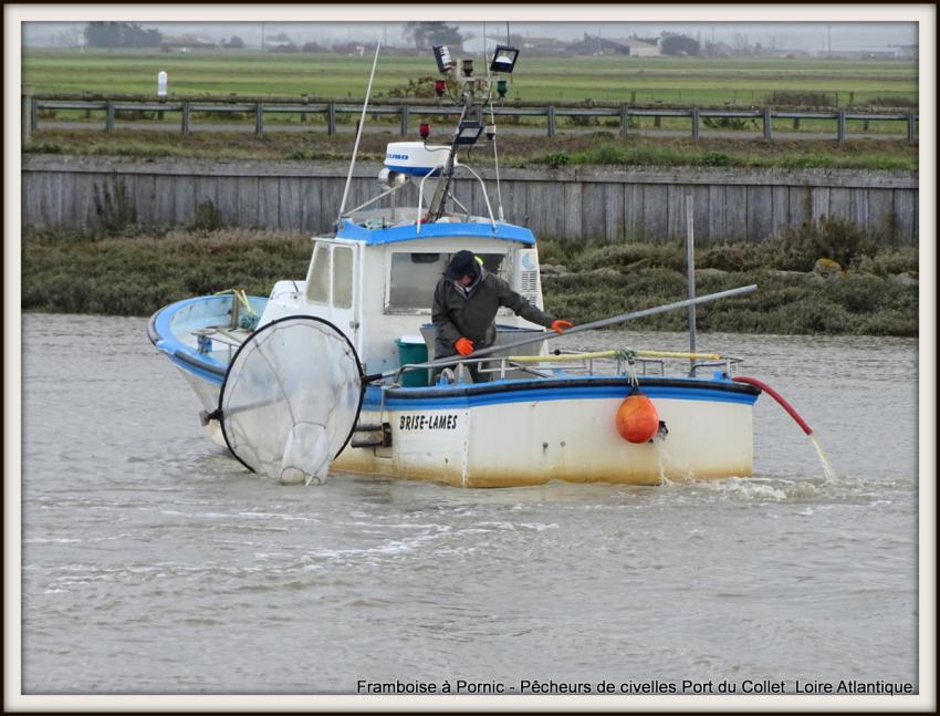 Pêcheurs de civelles au Port du collet - 44 - 2018