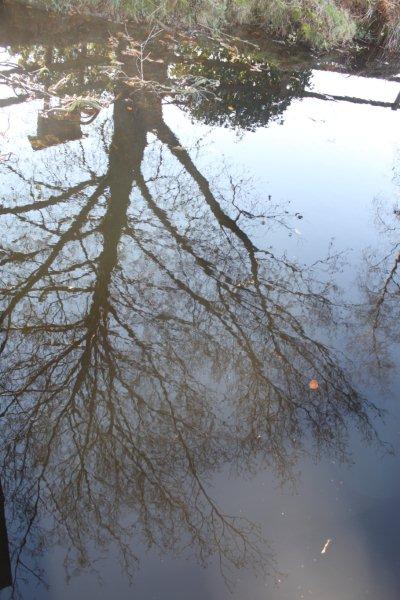jardin à St Urbain 006