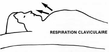 Kit-Respiration