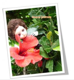 Bouton Dorset : Septembre en turquoise