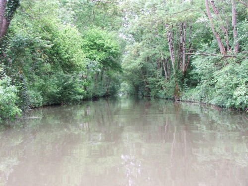 DSCF3502.JPG