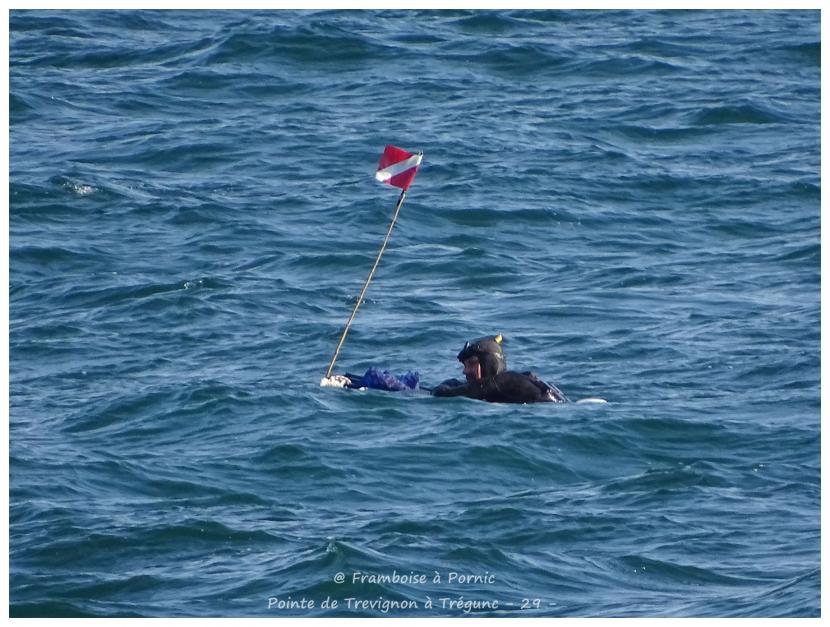 Pointe de Trévignon à Trégunc - 29 -