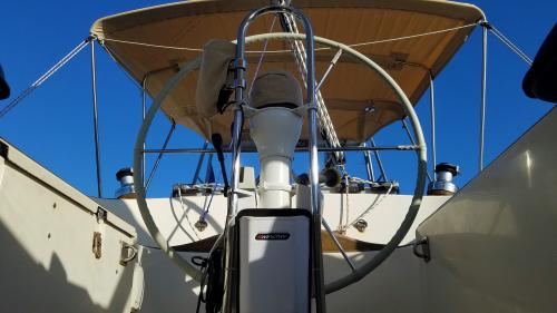 L'ardeur de la fraternité cannoise