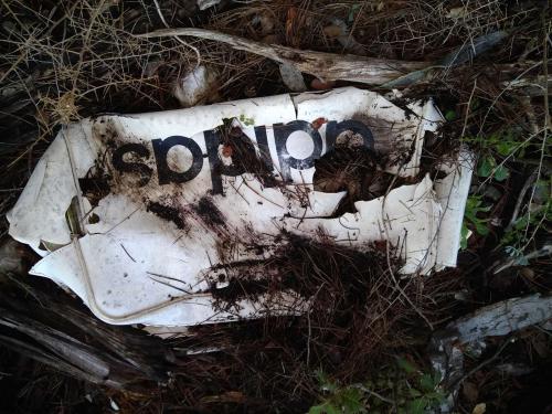 Campement abandonné, rebus de cyclo : Forêt à l'Orée de la ville