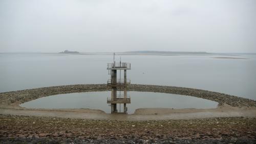 "Le Lac du Der" - Jeudi 09 novembre 2017