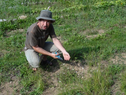 Un botaniste à Villemervry