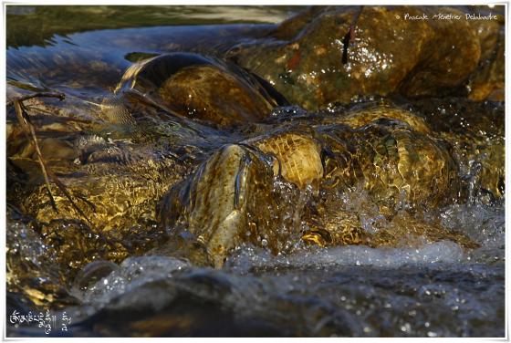 En eaux vives...