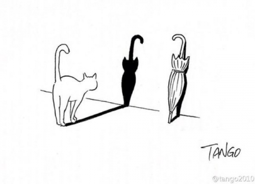 Le chat