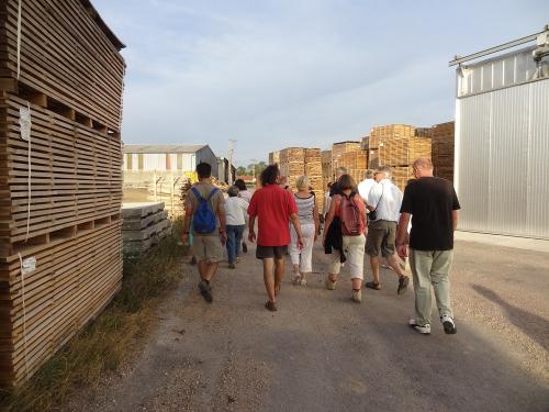 Une belle balade à Chaumont le bois et Vannaire, guidée par Anne Bouhélier