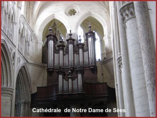 ღ꧁ღ╭⊱ꕥ   61 L'Orne  ꕥ⊱╮ღ꧂ღ