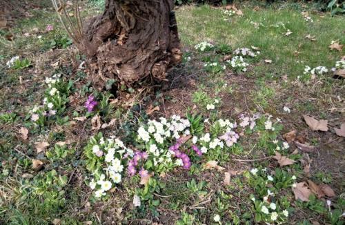 Quoi de neuf en ce début mars